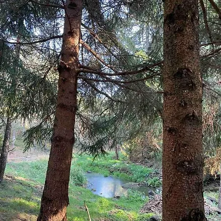 67 Apartment Divčibare