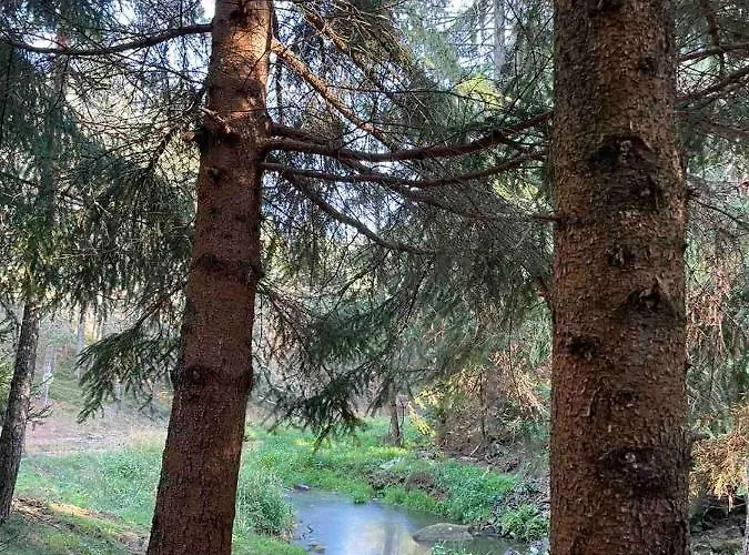 67 شقة Divčibare